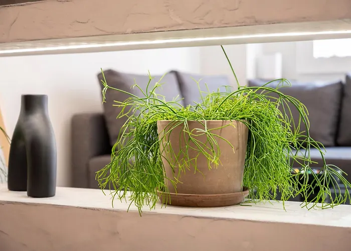 Aram's Port House شقة بلدة كوس