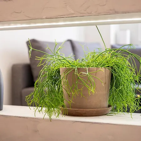 Aram's Port House Apartament Kos